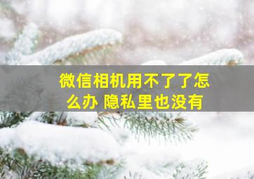 微信相机用不了了怎么办 隐私里也没有